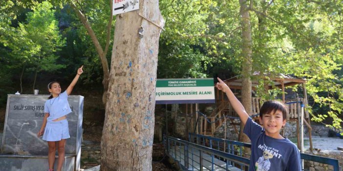 Mesire alanındaki çöp sorununa ’Çöp atan eşektir’ yazılı tabelayla tepki