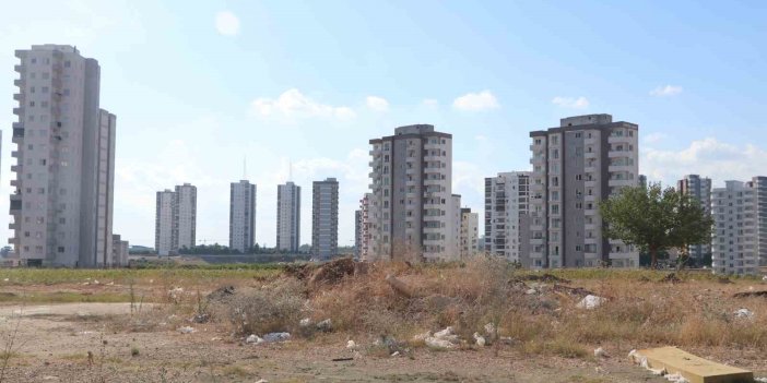 Adana’da cırcır böceği sesleri vatandaşları uyutmuyor