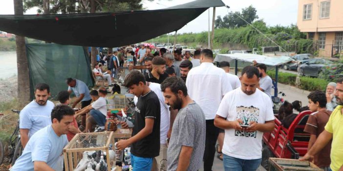 Adana’da kuş meraklıları kuş pazarında buluşuyor