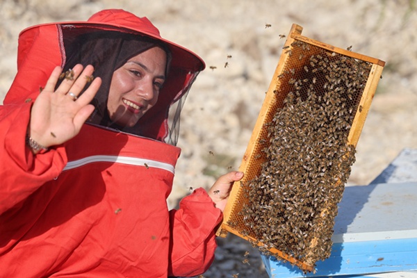 22 yaşında diplomasını aldı, 250 kovanla başladığı arıcılıkta bine ulaştı