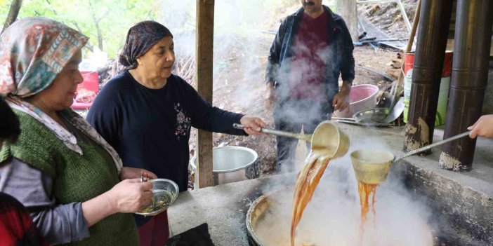 Bin 200 rakımda asırlık pekmez geleneği yaşatılıyor