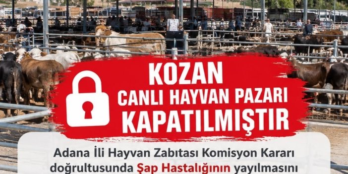 Kozan canlı hayvan pazarı şap hastalığı nedeniyle kapatıldı