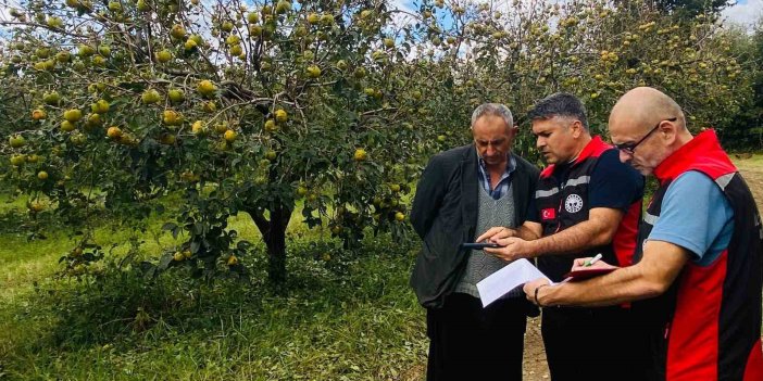 Kozan’da dolu hasarı için ön tespit çalışmaları başladı