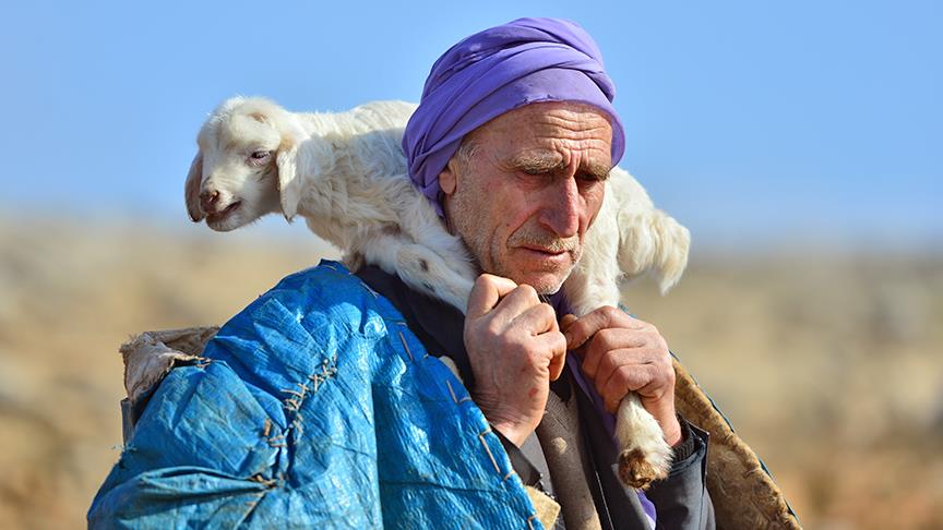 Hayvanların ardında geçen bir ömür