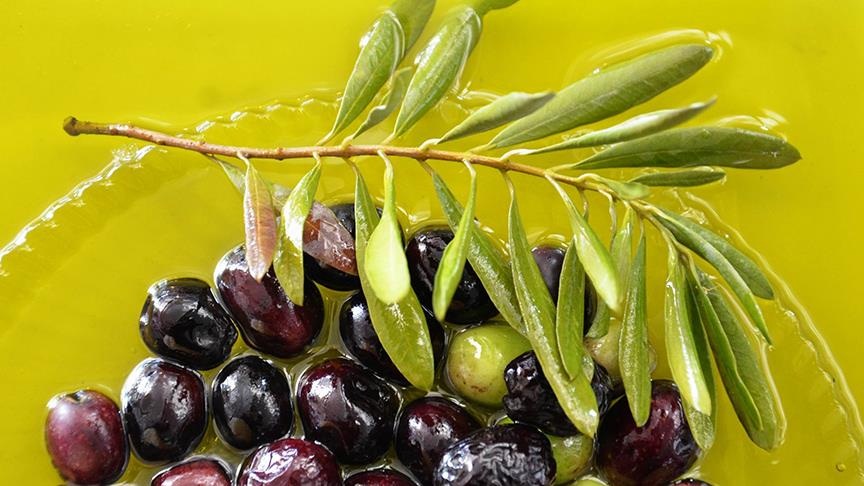 Sofralık zeytin ihracatına yeşil zeytin damga vurdu 