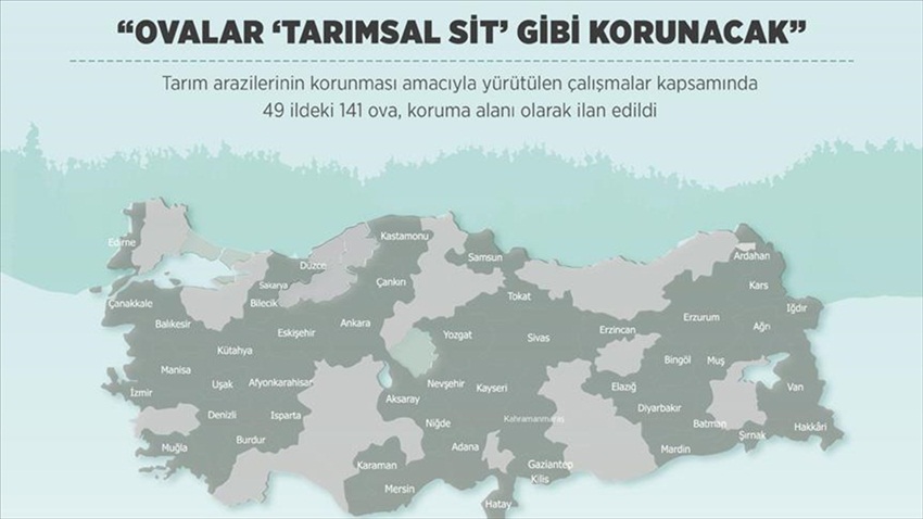 Gıda, Tarım ve Hayvancılık Bakanı Çelik: Ovalar 'tarımsal sit' gibi korunacak