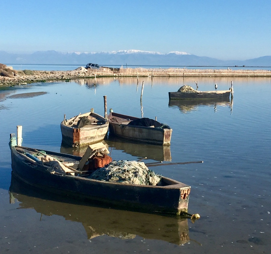 Yumurtalık dalyanı, fotoğraf tutkunlarının vazgeçilmezi oldu