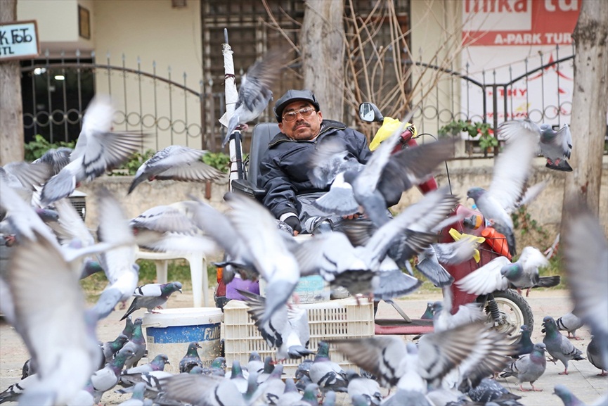 Güvercin tartışmasının neden olduğu cinayete ilişkin dava