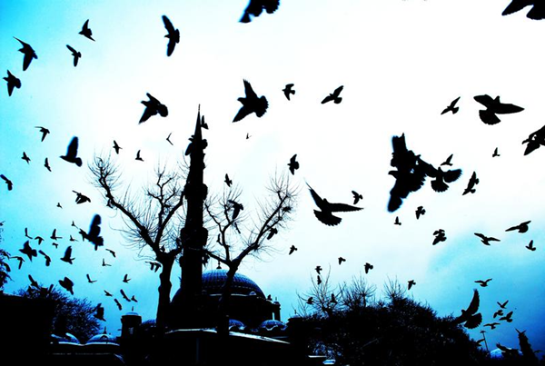"Elif Annemiz Hakka Yürüdü"