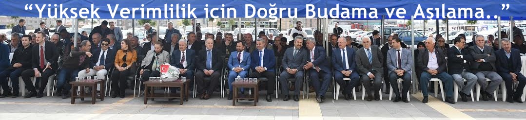 “Yüksek Verimlilik için Doğru Budama ve Aşılama”