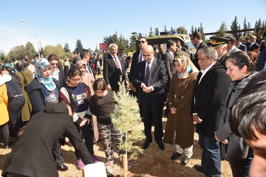 Şehitler Adına Dikilen Fidanlara, Ailelerin Gözyaşları Can Suyu Oldu