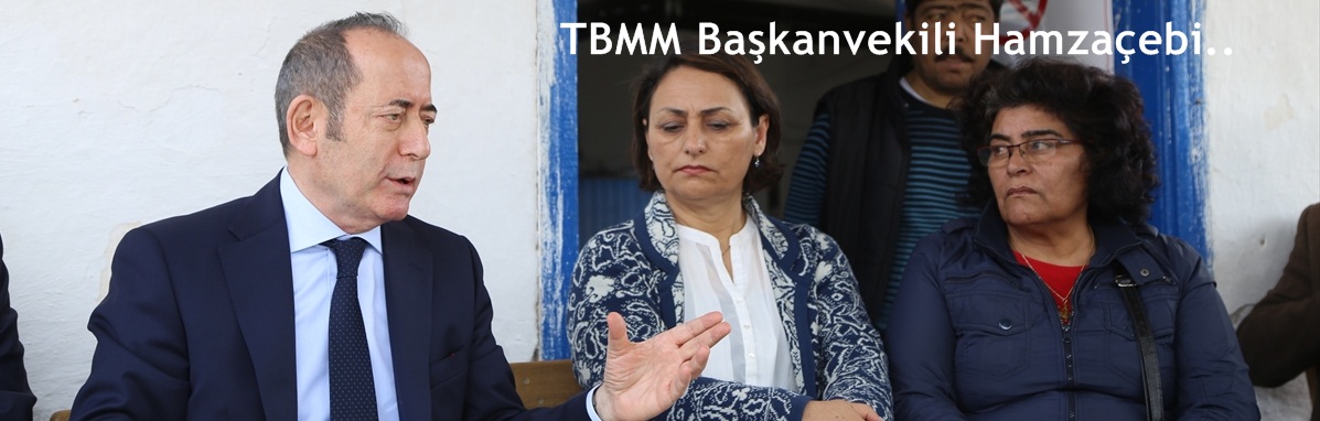 Hamzaçebi, "Başkanlık sisteminde koalisyon olmaz diye bir şey yok...