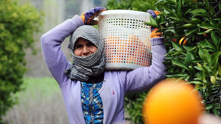 Adana Ticaret Borsası