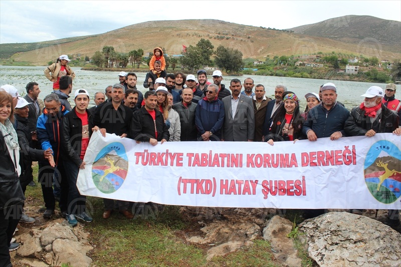 Hatay'da dağ ceylanı gözlem etkinliği