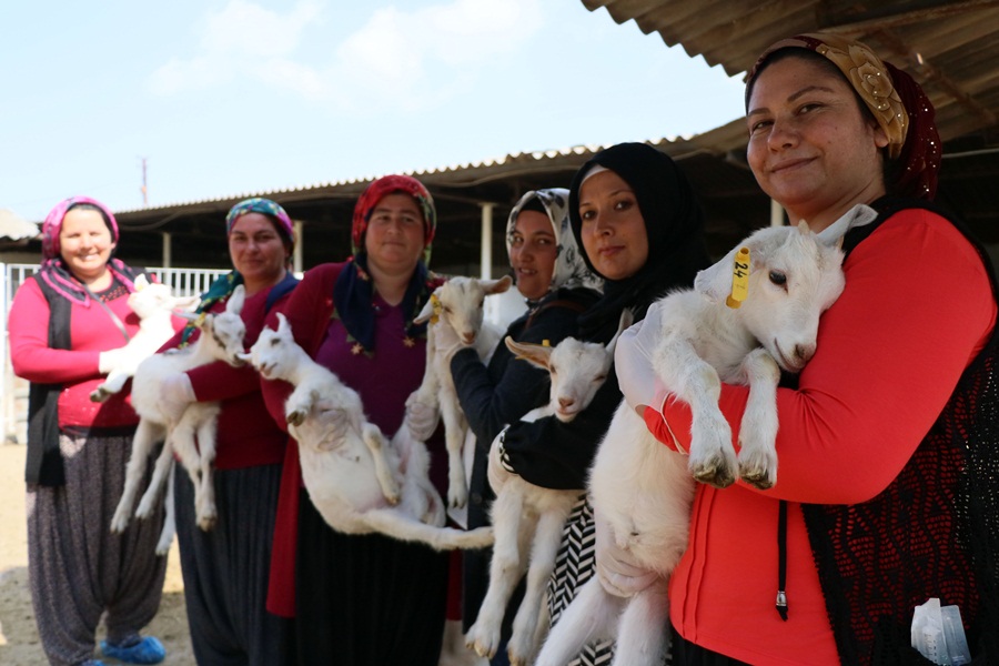45 kadına uygulamalı çobanlık eğitimi