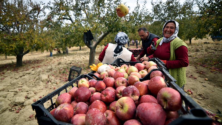 Tarım, ocakta 4,9 milyon kişiye istihdam sağladı