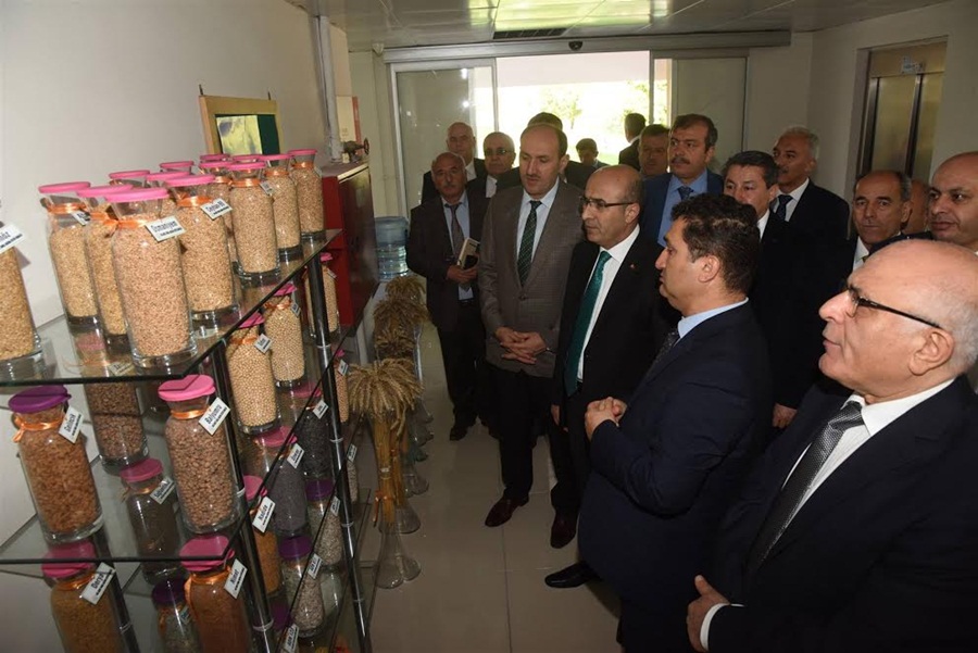 Vali Demirtaş, Doğu Akdeniz Tarımsal Araştırma Enstitüsü Müdürlüğü’nde İnceleme Bulundu