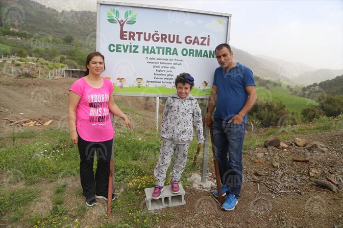 "Annesinin babasının dalıydı, şimdi orman oldu"