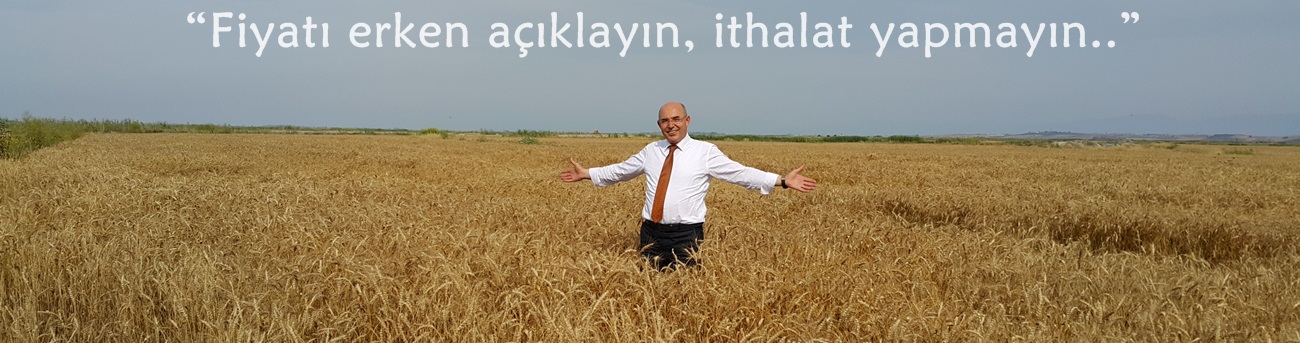 “Fiyatı erken açıklayın, ithalat yapmayın”