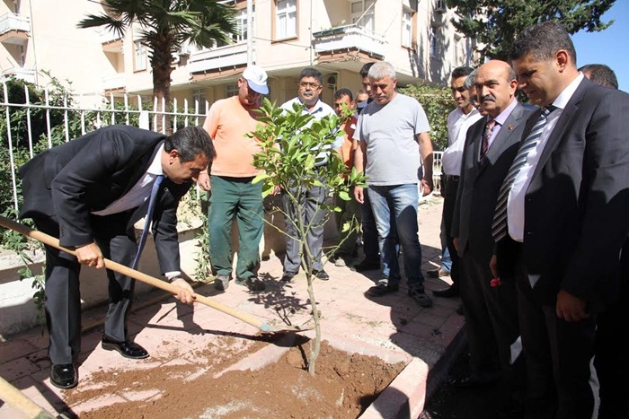 "Çukurova'daki Tüm Parklarımıza Zeytin Ağacı Dikeceğiz"