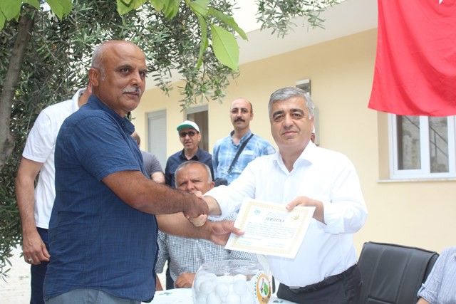 Adana'da 55 aileye badem ormanı