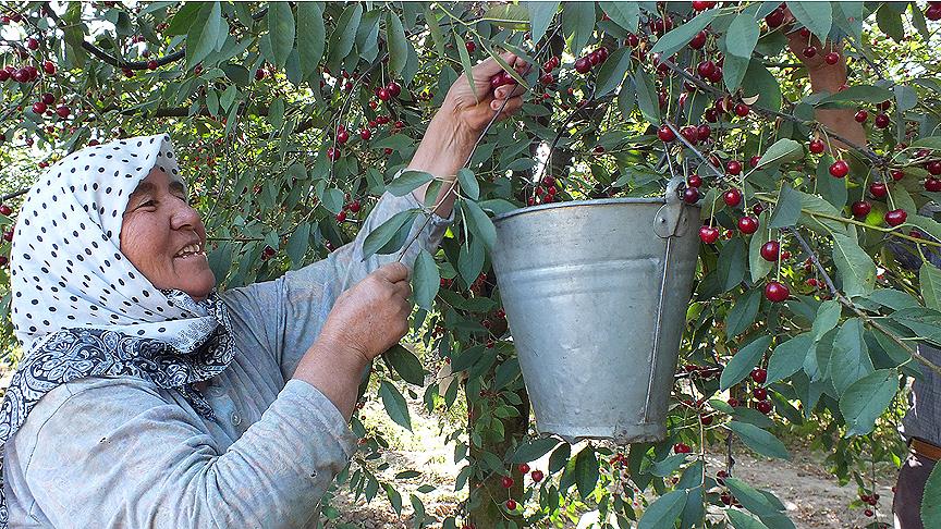 Adana Ticaret Borsası