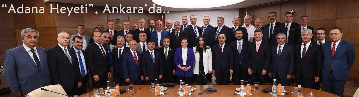 “Adana Heyeti”, Ankara’da