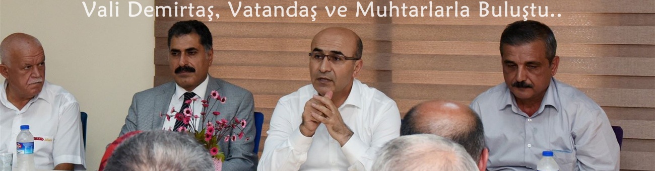 Vali Demirtaş, Muhtar ve Vatandaşlarla Buluştu..