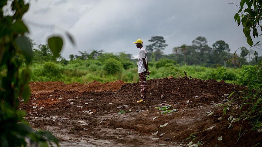 Sierra Leone'de sel ve toprak kaymaları: En az 200 ölü