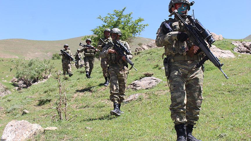 Siirt ve Hakkari kırsallarında 13 terörist etkisiz hale getirildi