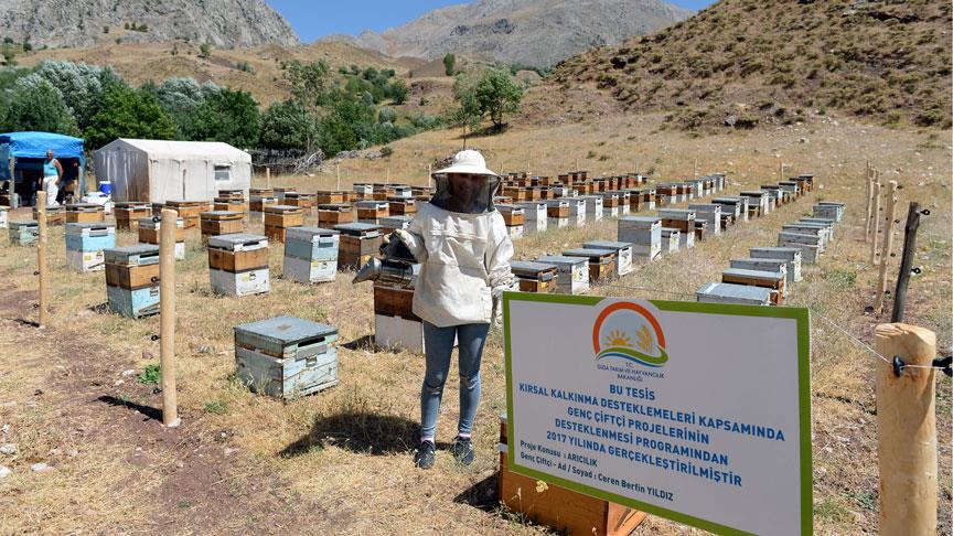 Organik arıcılık devlet desteğiyle artıyor