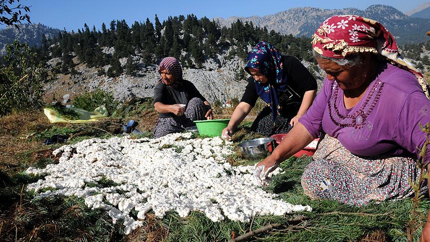 Kahramanmaraş’tan Kanada’ya... Ünü sınırları aştı