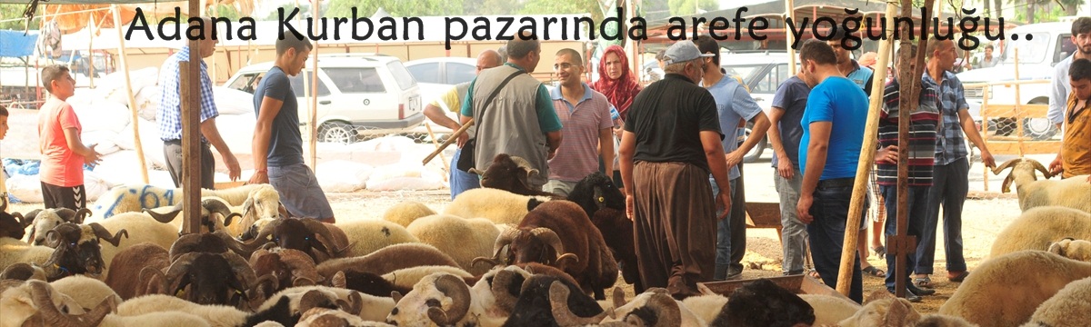 Adana’da kurbanlıklar pazardaki yerlerini aldı