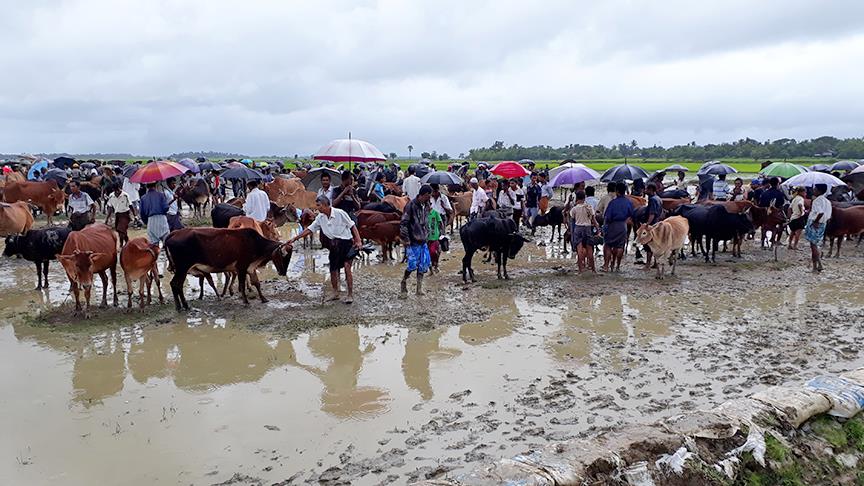 BM'den 'Arakanlı Müslümanları, Myanmar'daki krizin çözümüne dahil edin' çağrısı