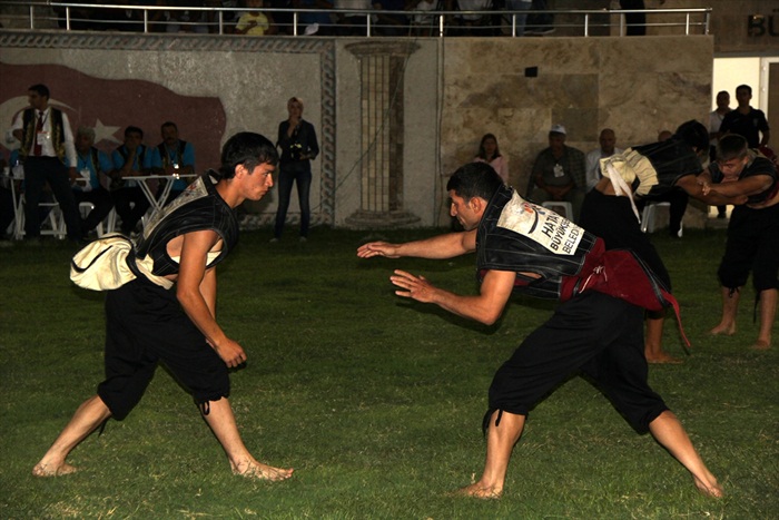 8. Uluslararası Aba Güreşi Dünya Kupası