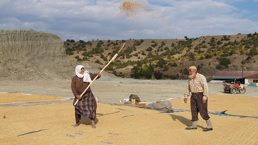 ‘Sağlıklı yaşlanma’nın 10 yolu