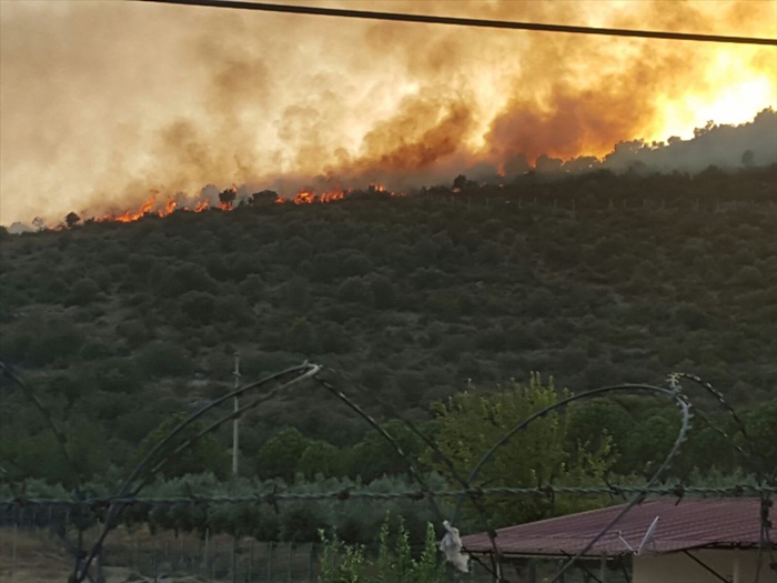 California'daki yangınlar 50 bin kişiyi evinden etti