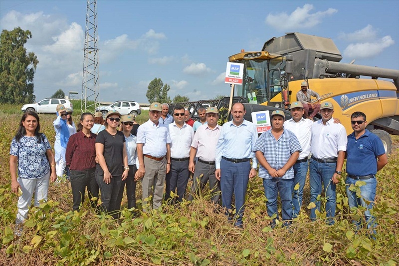 Adana'da soya hasadı başladı 