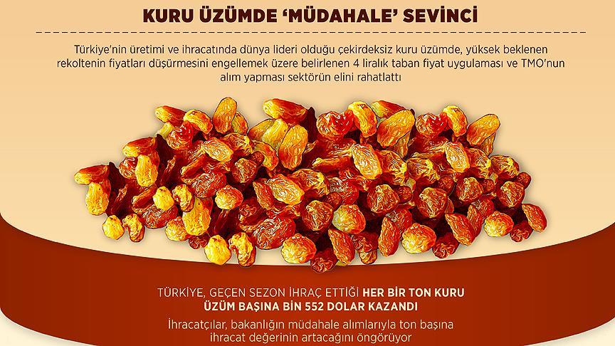 Türkiye kuru üzüm üretiminde dünyada birinci