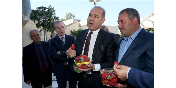 Sözlü, muhtarların demokrasinin vazgeçilmezi..