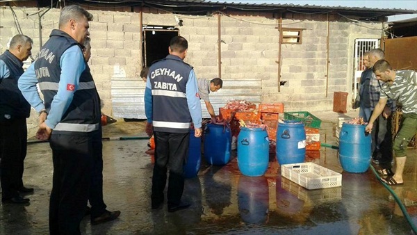 Adana'da "kaçak tavuk kesimi" operasyonu
