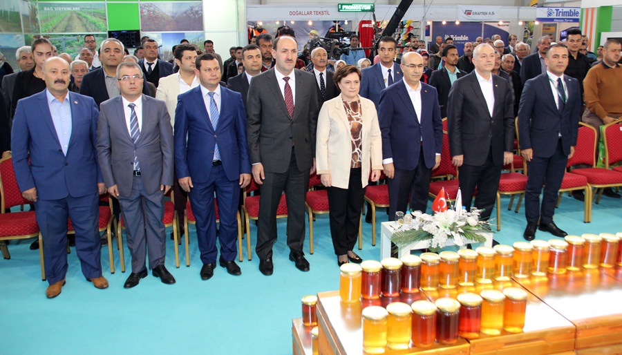 Adana 7. Geleneksel Bal Yarışması..