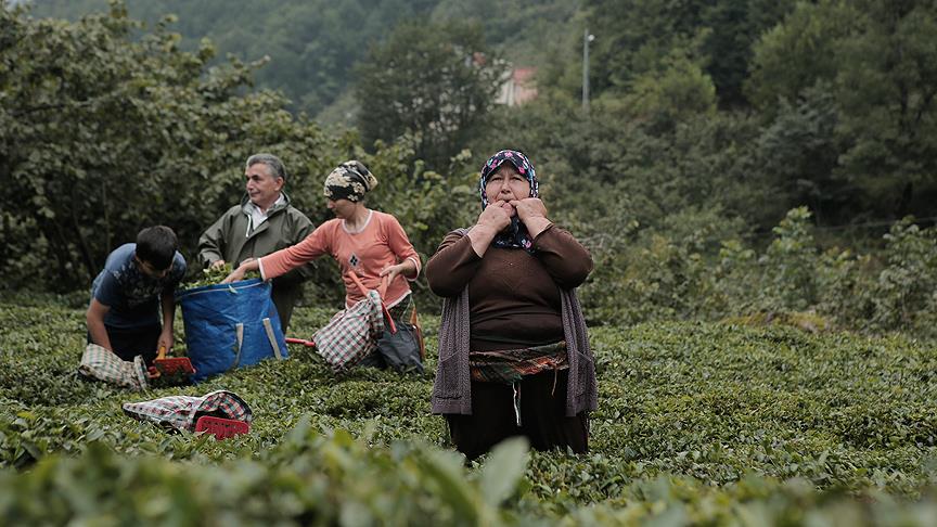 'Kuş dili'nin anavatanı Kuşköy'de UNESCO sevinci