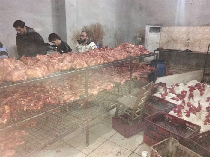 Adana'da "kaçak tavuk kesimi" operasyonu