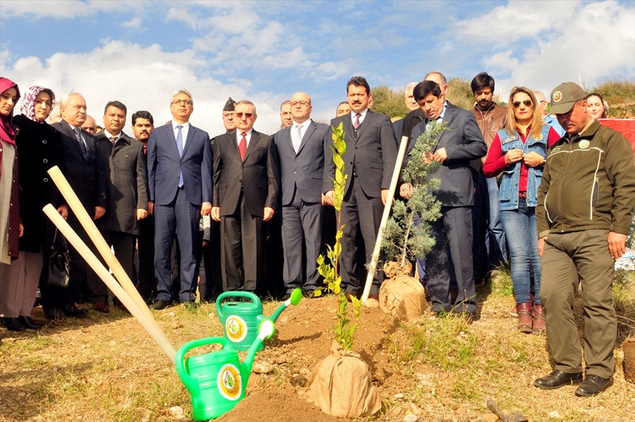 Adana'da 15 Temmuz şehitleri için fidan dikildi