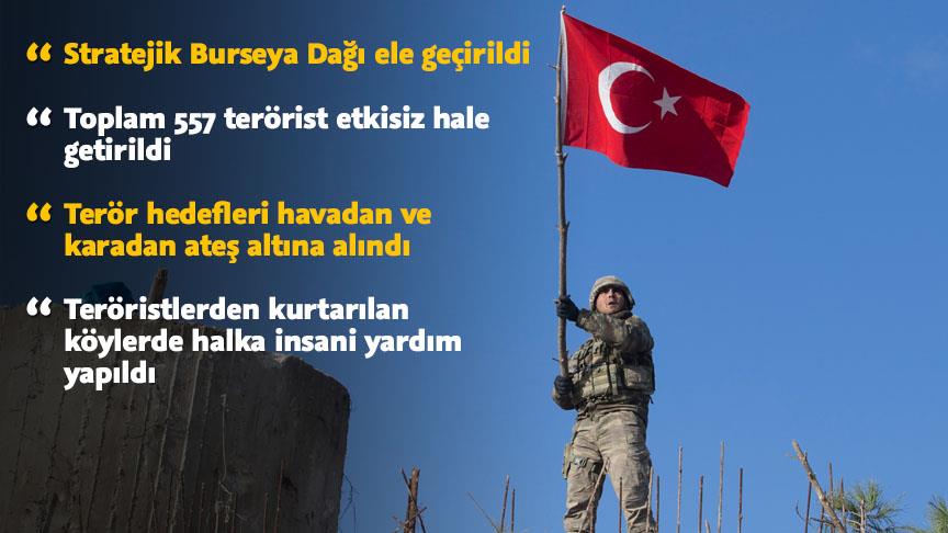 Stratejik Burseya Dağı ele geçirildi