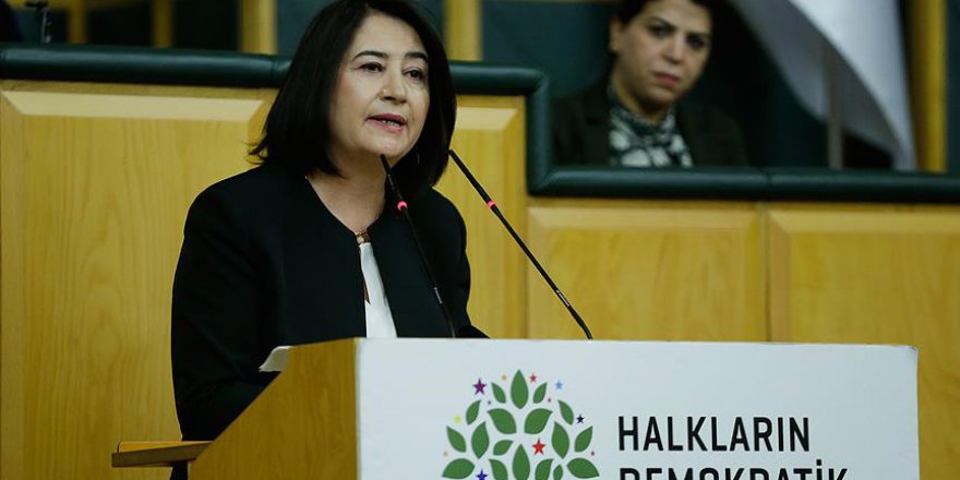 Eski HDP Eş Genel Başkanı Serpil Kemalbay gözaltına alındı