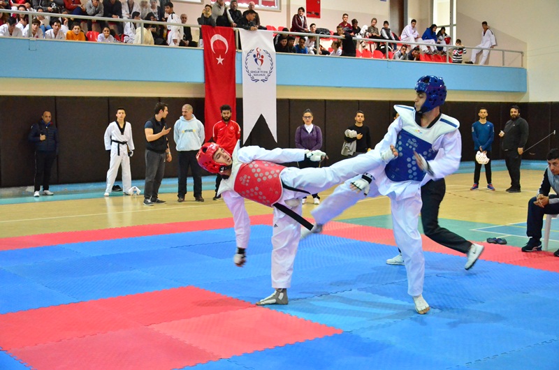 Anadolu Yıldızlar Ligi Yarı Final Tekvando Müsabakaları Adana’da Başladı