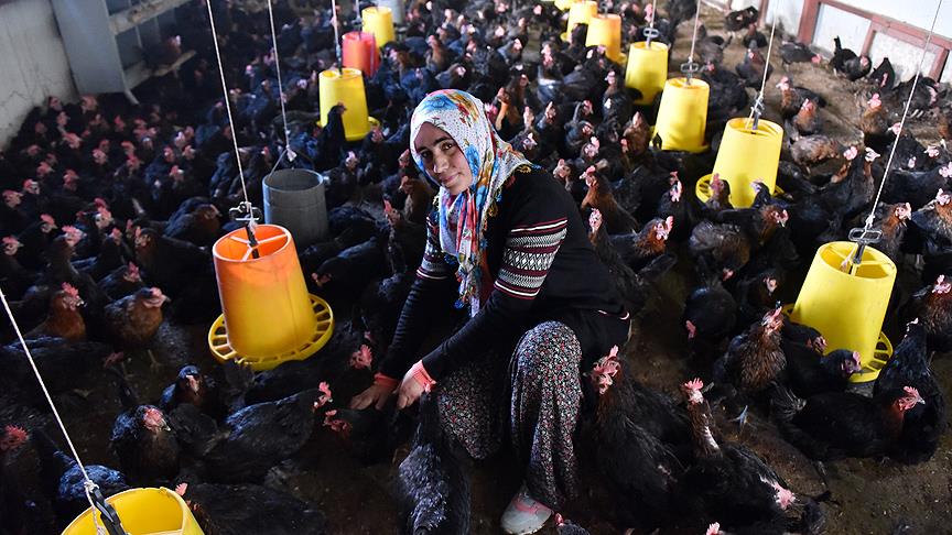 Şehir hayatından sıkıldı, köyüne dönüp girişimci oldu