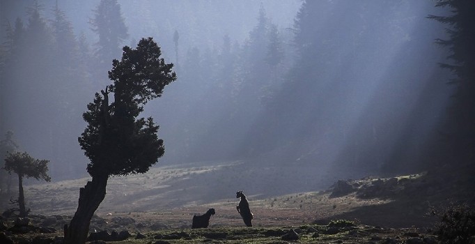 Arka Plan’ın yarışma sonuçları belli oldu